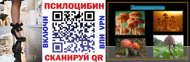kraken рабочий сайт Самара Галлюциногенные грибы MAGIC MUSHROOMS