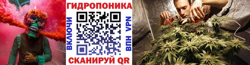 Бошки Шишки Amnesia Самара
